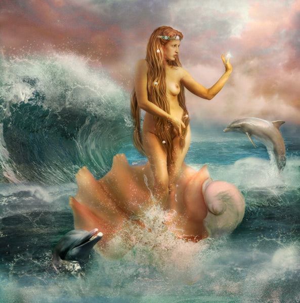 Transitioning Into A New You