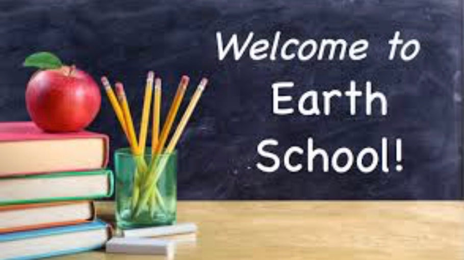 Lessons of Life Here On Earth School